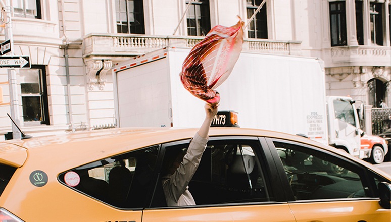 Scarves Banner Image