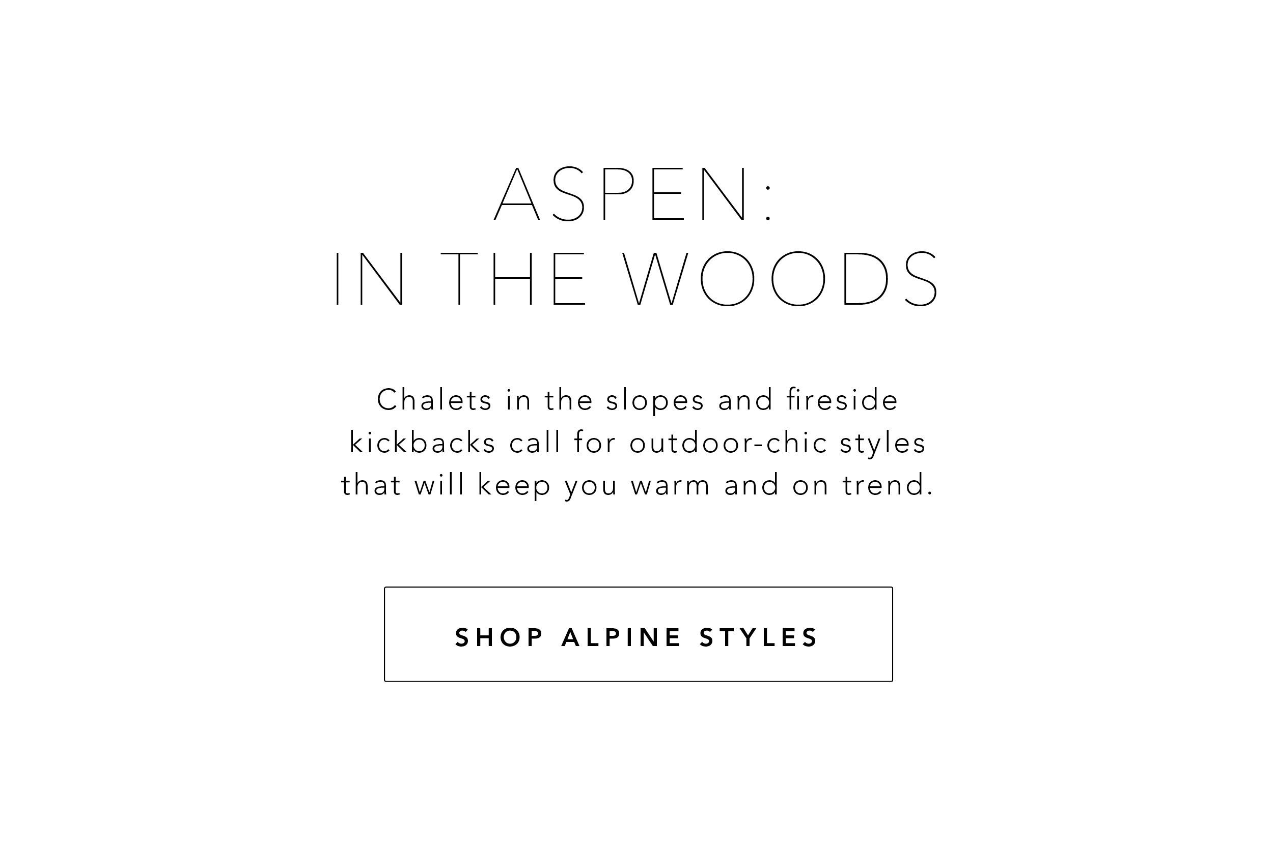 Aspen in the Woods