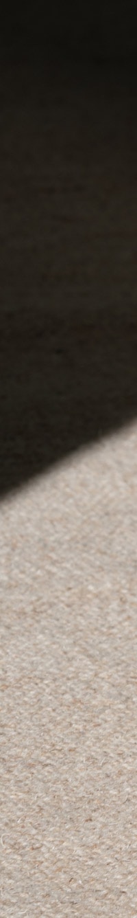 Shop Edelman Icons from Sam Edelman