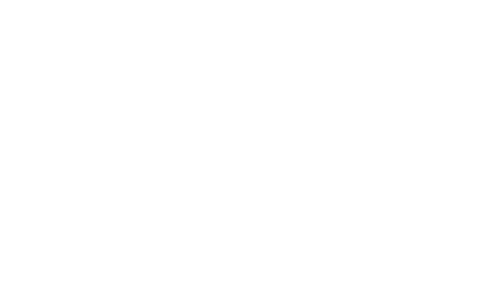 sneaker shop