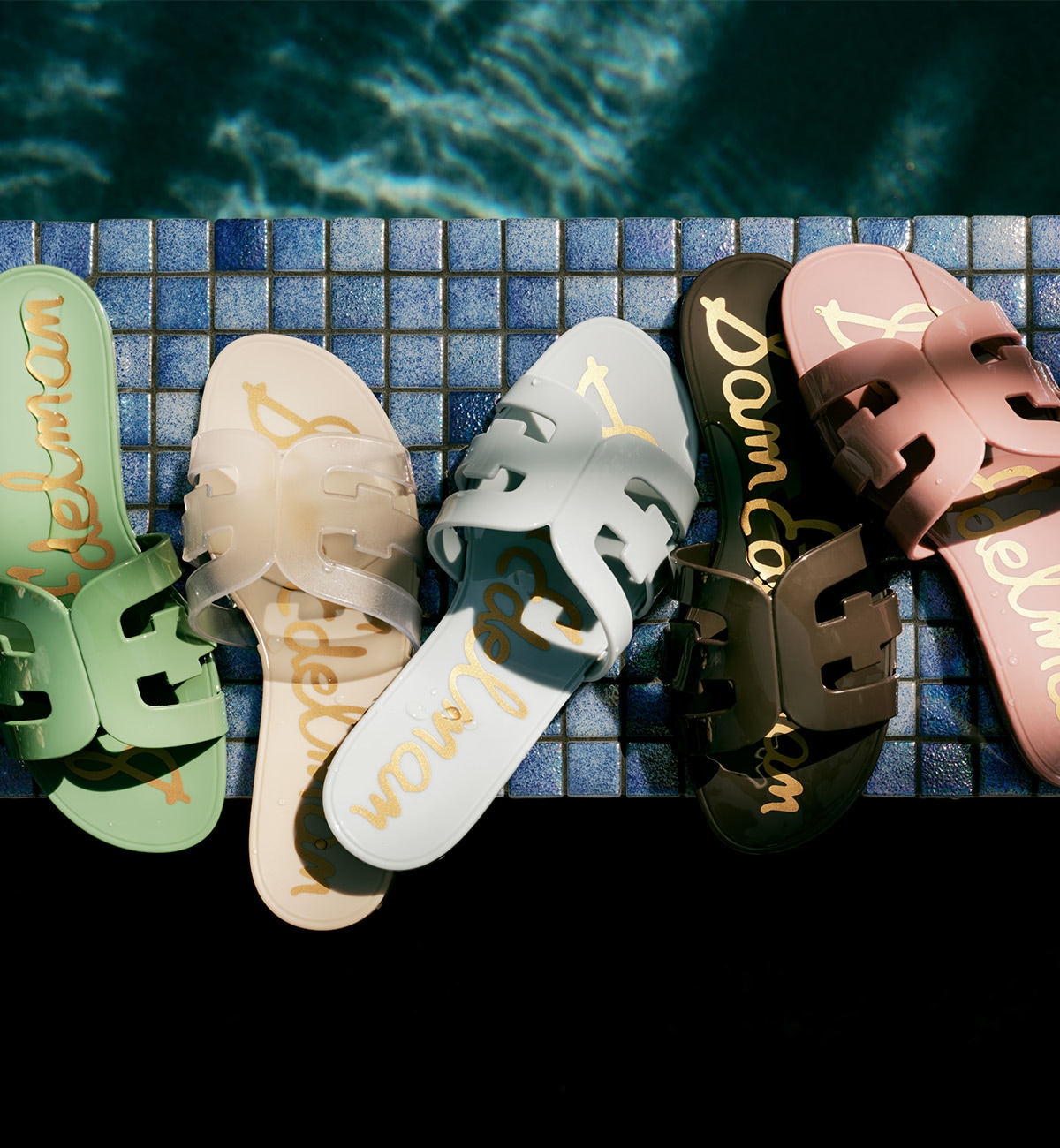 shop jelly
