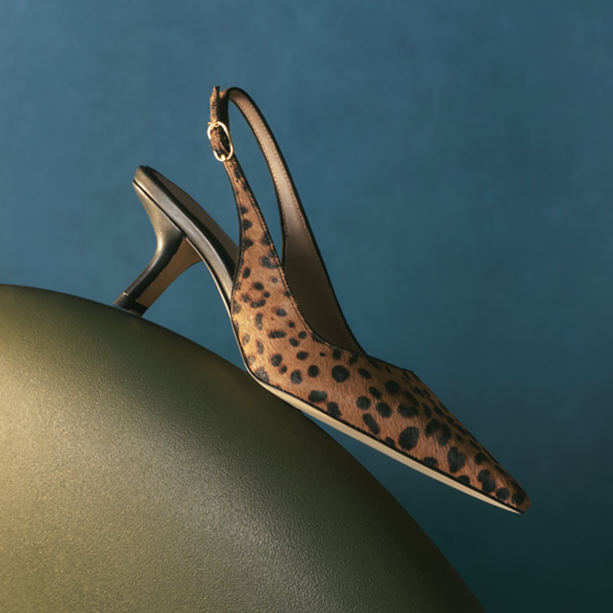 iconic shoes by sam edelman featuring the bianka in leopard