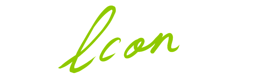 the icon shop