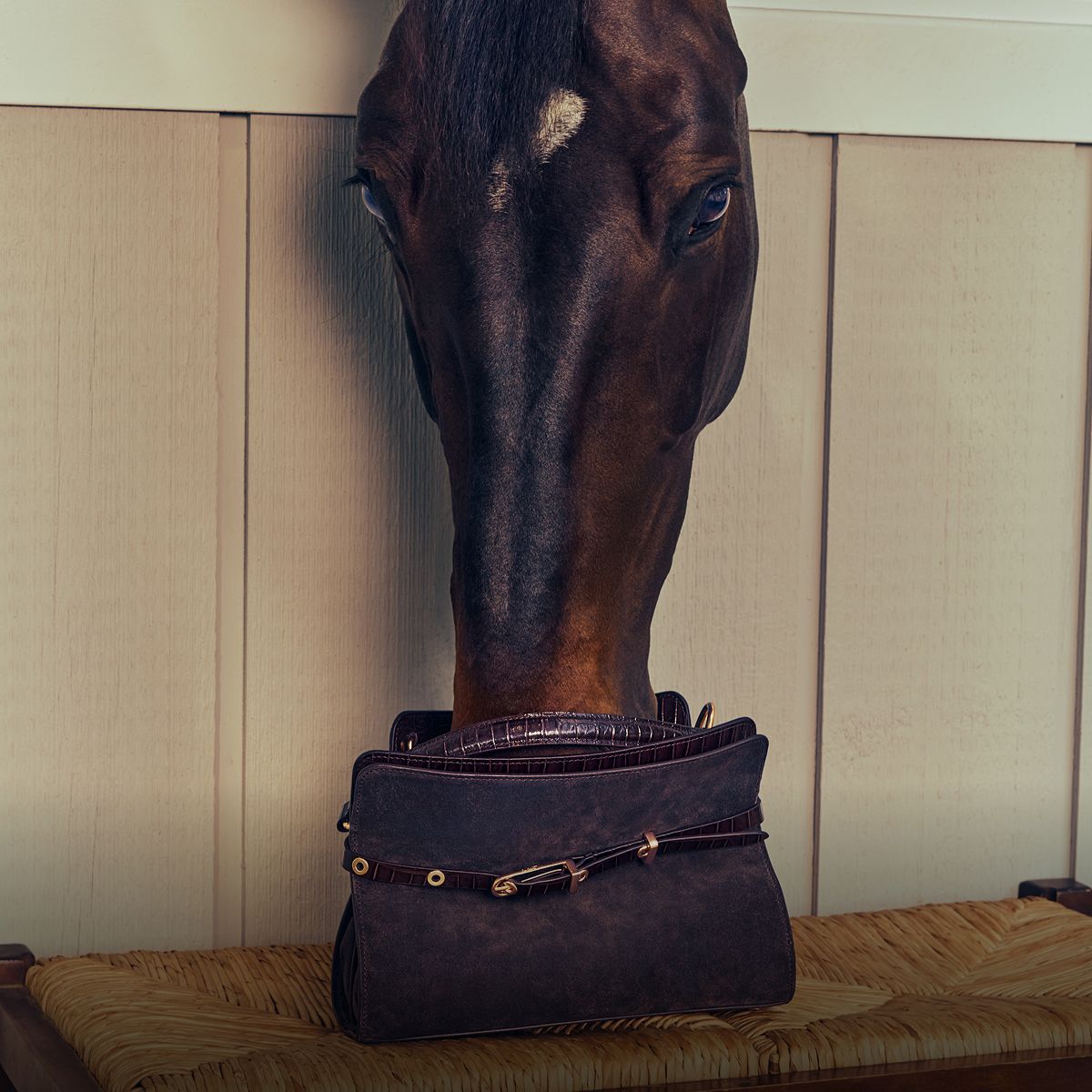 shop handbags