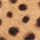 Tan Multi Cheetah Brahma
