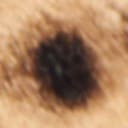 Tan Multi Cheetah