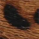 Leopard Brahma Hair Leather
