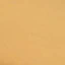 Medallion Gold Leather