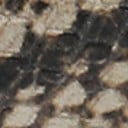 Roccia Snake