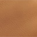 Camel Leather