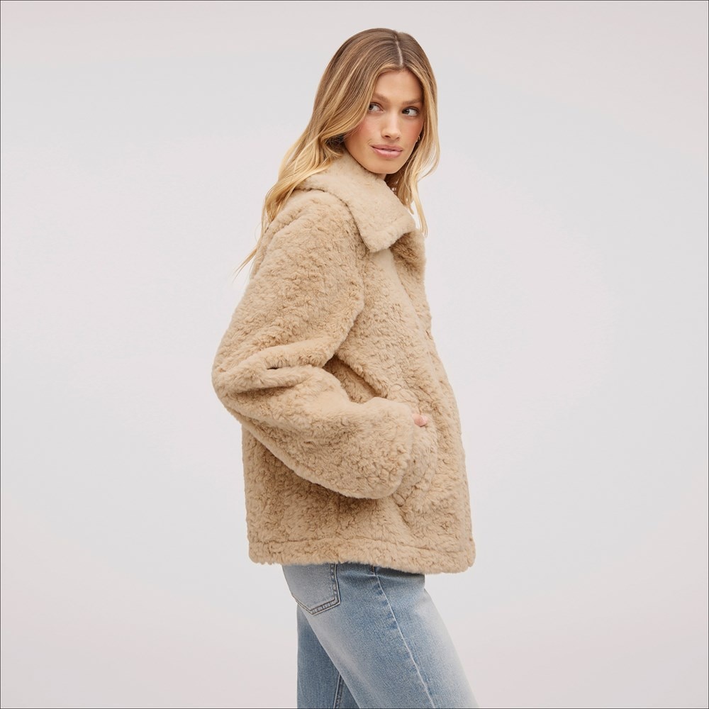 Short teddy coats hotsell