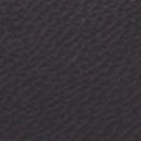 Black Leather