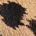 Cyprus Tan Multi Brahma