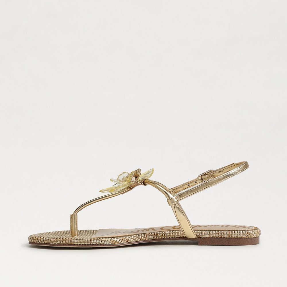 Sam Edelman Eden Thong Sandal | Women's Sandals