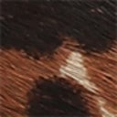 Leopard Brahma Hair Leather