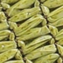 Green Raffia