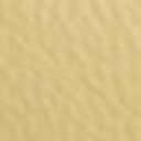 Canary Yellow