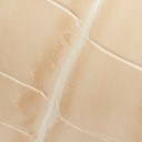 Eggshell Croco