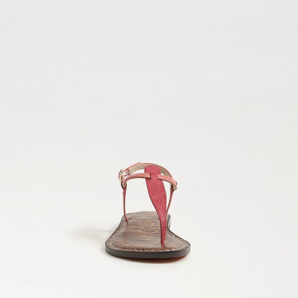 Sam Edelman Gigi Thong Sandal | Women's Sandals