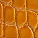 Mustard Croco
