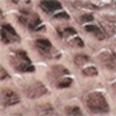 Pale Pink Snake