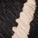 Ivory/Black Zebra