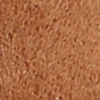 Sam Edelman Gigi Thong Sandal | Women's Sandals