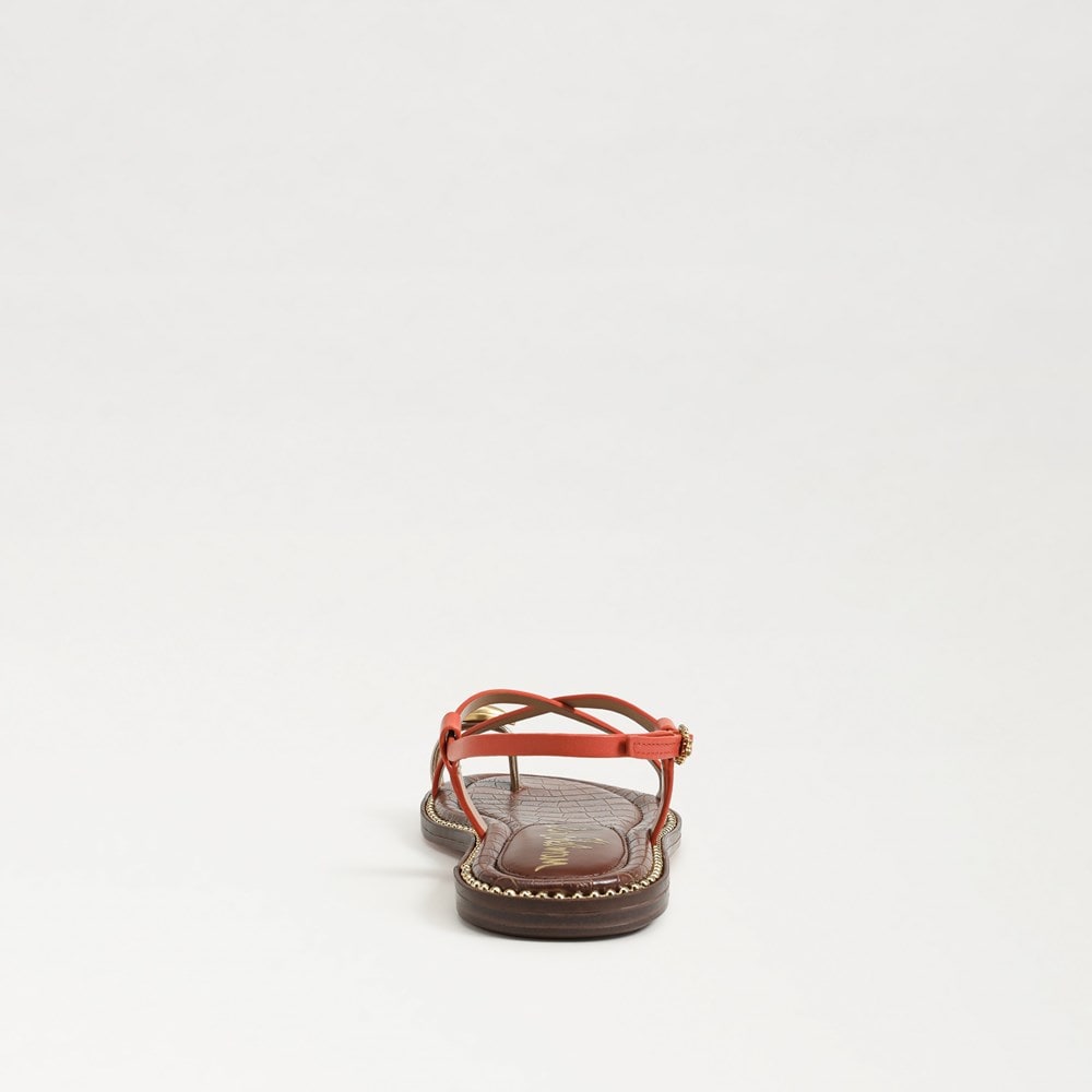 Sam Edelman Tenly Toe Strap Sandal | Women's Sandals