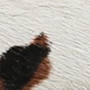 Brown/Multi Calf Hair/Leather