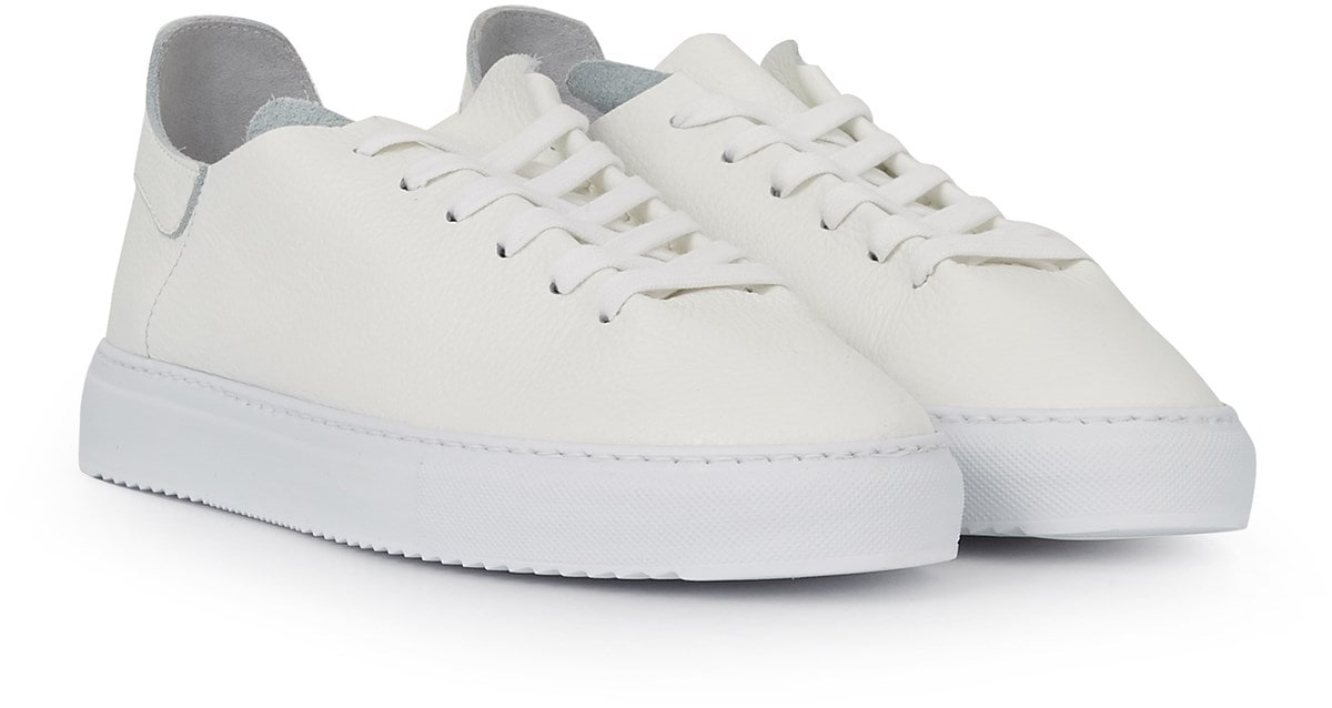 sam edelman pippy sneakers