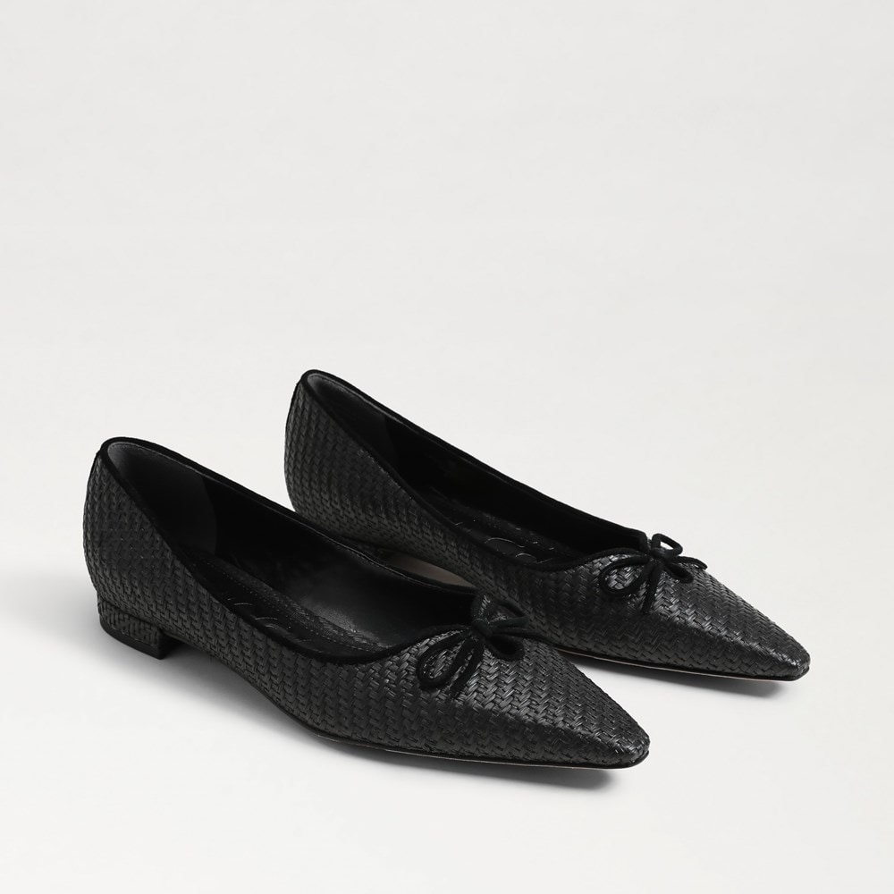 Esmira Pointed Toe Ballet Flat