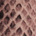 Pale Pink Snake