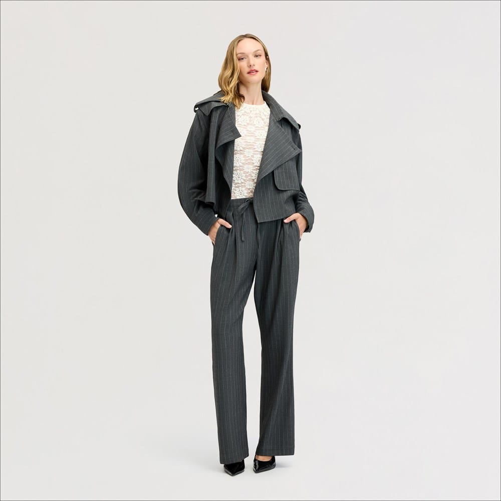Drawstring Pleat Pant Grey Pinstripe