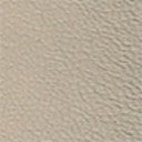 Gold Metallic Leather