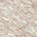 Mink Brahma