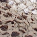 Stone Snake