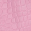 Begonia Pink Croc