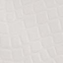 White Croc