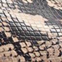 Desert Multi Snake