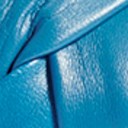 Blue Leather