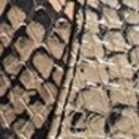 Desert Multi Snake