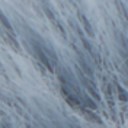 Blue/Grey
