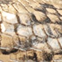 Natural Sand Multi