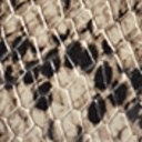 Beach Multi Snake