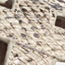 Beach Multi Snake