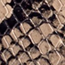 Desert Muliti Snake