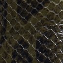 Alpine Green Snake