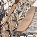 Desert Multi Snake