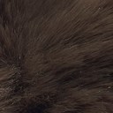 Caviar Brown