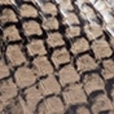 Desert Multi Snake